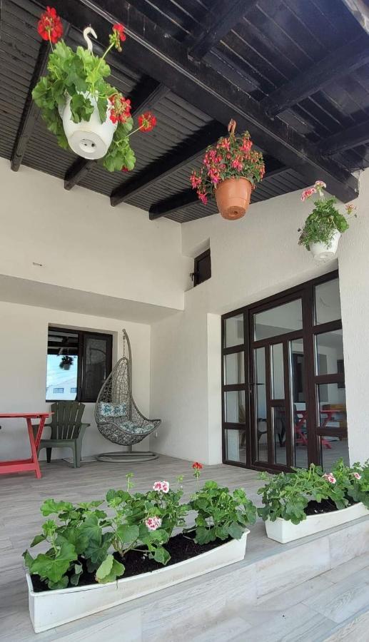 Casa Domneasca Hotel Giurgiu Exterior foto